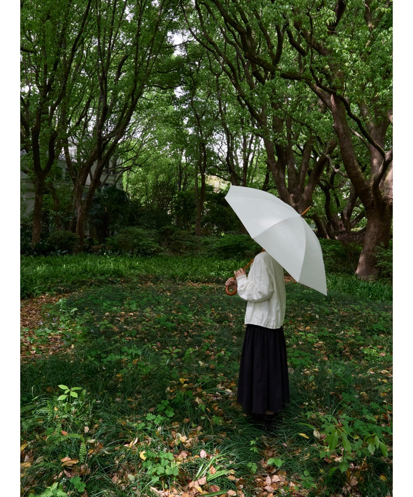 METSÄ  緑潤う 長傘